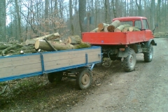 Holzaktion0307