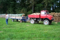 holzaktion2006 002