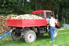 holzaktion2006 003