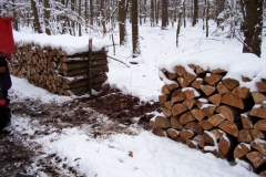holzmog 001