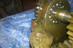 WP_20151215_14_54_31_Pro