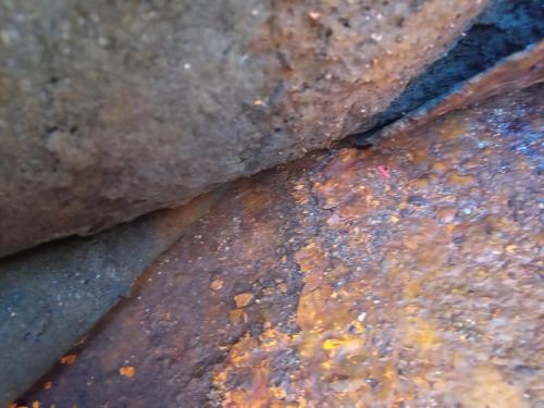 IMG_20200415_162819_2