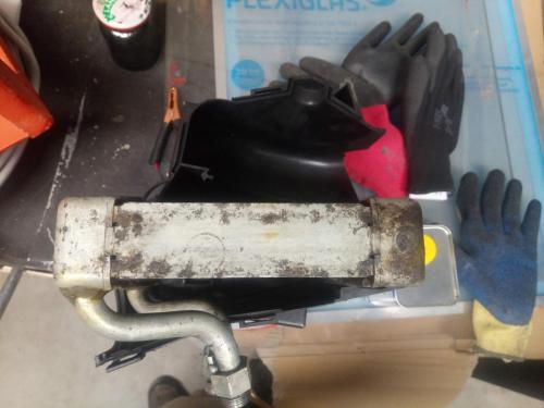 IMG_20200719_104647_7