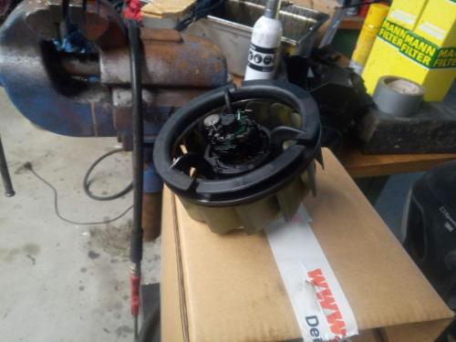 IMG_20200719_104718_6